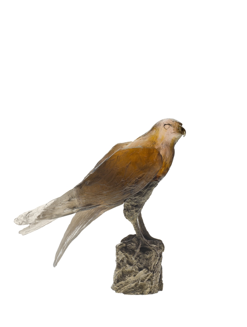 Faucon saker m.  Van der knoop - Daum
